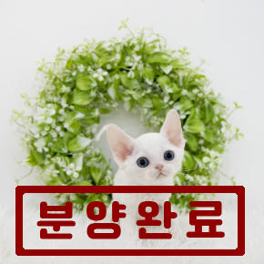데본렉스