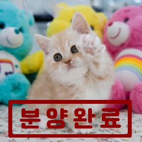 먼치킨