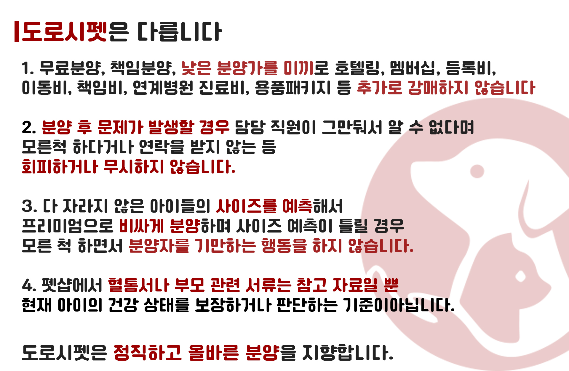 도로시펫은 다릅니다